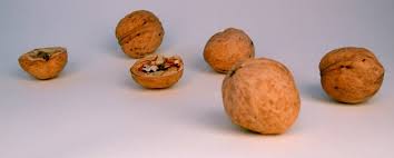 In gradina nu recomandam plantarea nucilor, dar daca totusi exista, sau se doreste, trebuie sa luam in considerare o distanta minima de 25 m de la proiectia coroanei la alte culturi. Despre Nuci Surse De Profit Gradina Meagradina Mea