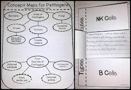The Importance Of Interactive Notebooks In Secondary Grades Interactive Notebooks Interactive Science Notebook Immune System Lesson