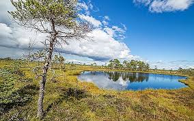 실내 지도는 현재 일부 위치에서만 이용할 수 있습니다. ì—ìŠ¤í† ë‹ˆì•„ë¥¼ ë°©ë¬¸ í•  ë•Œ ê°€ì ¸ì•¼ í•  6 ê°€ì§€ ê²½í—˜ ì—¬í–‰ íŒ