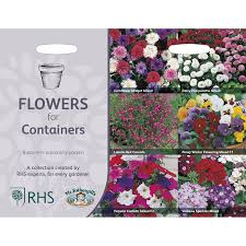 We did not find results for: Rhs Flowers For Containers Collection From Mr Fothergills Seeds And Plants
