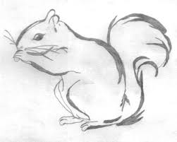 Inspiration For Nature Art Elements More Contemporary Caricature Style Though Animal Line Drawings Squirrel Art Owls Drawing Bookmark this page for a new tutorial every saturday. animal line drawings