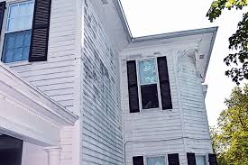 Bumblebees have yellow, hairy abdomens. Carpenter Bees A Game Of Hide And Seek Pest Management Professional