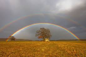 Junge frau, die durch schöne berge wandern. Fotostrecken Wetter Bilder Und Fotos Wetteronline