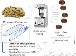 Heavy duty coffee bean grinder machines require a break after successive grinding, but. Variability Of Single Bean Coffee Volatile Compounds Of Arabica And Robusta Roasted Coffees Analysed By Spme Gc Ms Abstract Europe Pmc