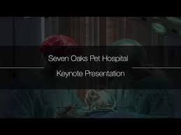 27027 state rd 56 wesley chapel, fl 33544. Vet Near Me 33544 Seven Oaks Pet Hospital Wesley Chapel Fl