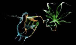 Maybe you would like to learn more about one of these? Weed Drugs Marijuana 420 Nature Psychedelic Plant Cannabis Rasta Reggae Drug Trippy Wallpapers Hd Desktop And Mobile Backgrounds