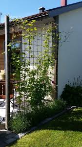 Split Clematis Und Lavendel Pampasgras Terrassenerweiterung Terrassenerweiterung Terrassenerweiterung Terrarium Mo In 2020 Gartengestaltung Clematis Garten Lavendel