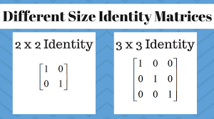 The Identity Matrix And Its Properties Mathbootcamps