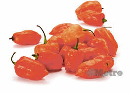 Follow and like our official: Dek Mahu Popular