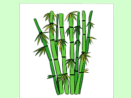 How To Draw Bamboo 8 Steps With Pictures Wikihow Japanese painting ink wash painting drawing, chinese painting style bamboo material, watercolor three silhouette of pine trees, pine tree fir, simple tree outline, branch, christmas decoration. how to draw bamboo 8 steps with