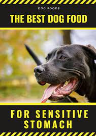 Feeding Your Pitbull The Best Dog Food For Sensitive Stomach Dogdogs Dog Food Recipes Best Dog Food Brands Best Dog Food