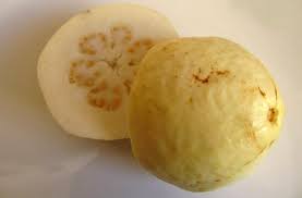 The guava trees normally grow up to a height of four meters and bears large leaves with conspicuous veins. Peruvian White Guava Plant Psidium Guajava 6 Pot Walmart Com Walmart Com