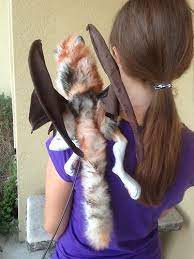 Fantasy Art Woodbaby Jhari Calico Cat Renaissance Shoulder Puppet Calico Cat Puppets Fantasy Art