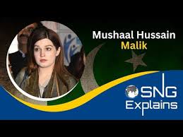 Who Is Mushaal Hussain Malik?