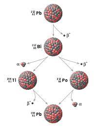 In 1902, physicists ernest rutherford and frederick soddy had discovered that radioactive elements broke down into other elements in a definite sequence or series, through the process of nuclear fission. Radiometric Dating Wikipedia