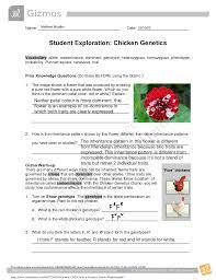 To get started finding chicken genetics gizmo answer key , you are right to find our website which has a comprehensive collection of manuals listed. Academic Guider