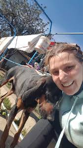 Henry is a hunting dog who never liked hunting or he's been any good at it.  For that reason he was abandoned and we don't know for long he has been on