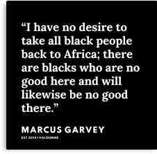 41 Marcus Garvey Marcus Garvey Quotes 200615 Black Excellence Inspirationalquotes Quotes Marcus Garvey Quotes Marcus Garvey Inspirational Quotes
