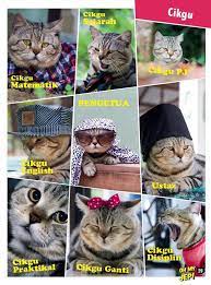 This is oh my jep by patrick saie on vimeo, the home for high quality videos and the people who love them. Oh My Jep Twitterissa Cepat Dapatkan Nanti Habis Jep Gigit Acik Ankel Kucing Hensem Ohmyjep Viral Catlover Beautifulcat