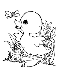 Namun hampir setiap anak pasti senang dengan pelajaran menggambar dan juga mewarnai, khususnya bagi mereka yang masih duduk di bangku tk/paud atau sekolah dasar. 4441 Sketsa Gambar Hewan Darat Laut Udara Lucu Lengkap