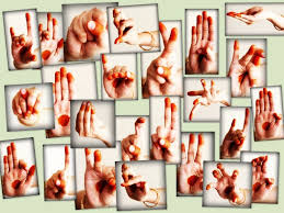 Mohiniyattam Hastas Mudras Viniyoga Indian Language