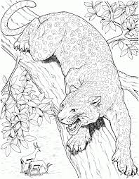Cat with big eyes and long tail. Printable Big Cat Jaguar Coloring Pages Coloring Pages Coloring Home