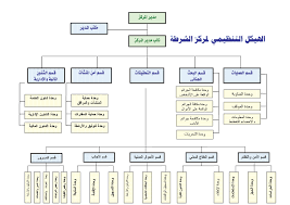 الهيكل واللائحة التنظيمية