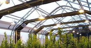 Pin On Greenhouses