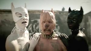 Die Antwoord Pitbull Terrier Pitbull Terrier Pitbulls Terrier