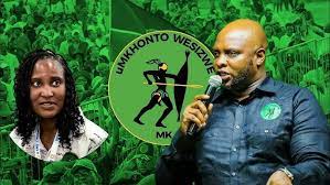 Floyd Shivambu Puts Duduzile Zuma in Her Place - YouTube