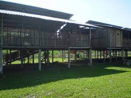 Material murah yang bisa dijadikan lantai kandang. Panduan Pembinaan Kandang Kambing Bebiri