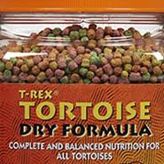 Indian Star Tortoise Care Sheet Reptile Centre