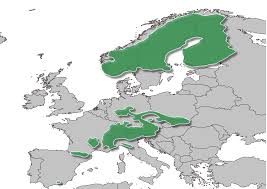 Des cartes préchargées pour 2 000 stations de ski dans le monde incluent des données cartographiques qui vous donnent un meilleur aperçu de votre environnement lorsque vous pratiquez le ski ou le snowboard. Nouvelle Carte Europe Des Activites Hivernales Garmin Blog
