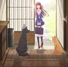 Fruits Basket Season 2 Release Date Fruits Basket 2nd Season 2020 Remake Reboot Of Furuba Manga S Story Allows For Fruits Basket Season 3 Spoilers Fashionbehindthescene