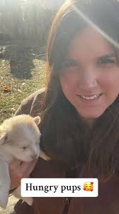 Introducing solids to pups, heres how we did it: 1. Start to introduc...