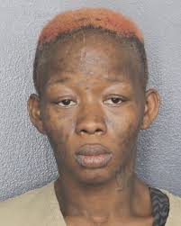 Warren, Danielle Yvette WARRANT VOPRETRIAL FELONY AGGRAVATED BATTERY