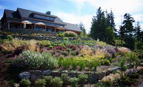 These plants will thrive, save you money and keep your slope of planters looking lush and alive. Hillside Landscaping Ideas For Any Budget