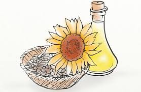 3 Proven Ways To Use Sunflower Oil For Hair Loss 28 Days Later