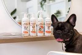 The french bulldog dog is one of the most popular breeds worldwide. Top 5 Best Shampoo For French Bulldogs In 2020 French Bulldog Best Shampoos Bulldog