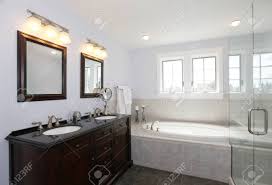 nice dark brown bathroom with tub and