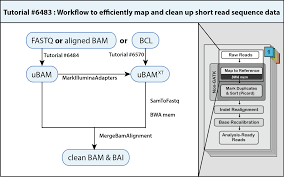 how to map and clean up short read sequence data