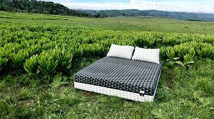 Do you need a bed frame. Do You Really Need A Bed Frame For Your Mattress Layla Sleep