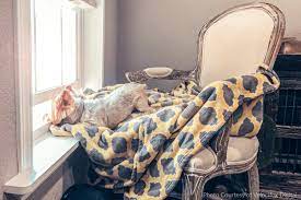 Generate more revenue and grow your business today! How Much Should Rental Property Owners Charge For A Pet Deposit Central Florida Property Management Orlando Property Management Company