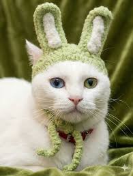 Chico's reaction to his new hat