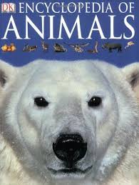 14 95 21 99 Baby Encyclopedia Of Animals With Answers To Thousands Of Intriguing Questions About The Animal Kingdom This A Animal Books Animals Polar Bear