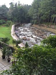 Cimory Puncak Bogor Indonesia Alam Tempat