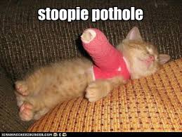 Lolcats Injured Lol At Funny Cat Memes Funny Cat Pictures With Words On Them Lol Cat Memes Funny Cats Funny Cat Pictures With Words On
