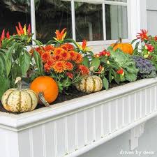 Best Of Fall Decorating Ideas Inspiration Fall Window Boxes Window Box Flowers Fall Windows