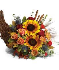 Browse 11,769 greek pattern stock photos and images available, or search for greek pattern vector or greek pattern circle to find more great stock photos and pictures. The Cornucopia A Historical Icon