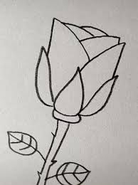 Drawing Rose Easy With A Pencil Informationen Zu Drawing Rose Easy With A Pen Art Drawings Simple Space Drawings Disney Art Drawings